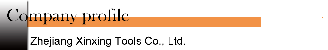 الملف الشخصي للشركة